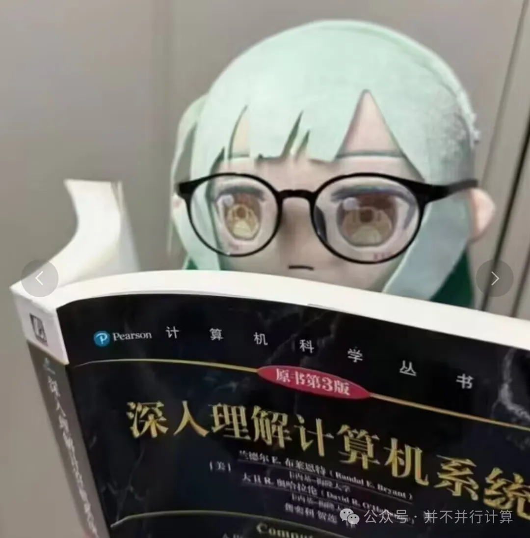 a_fumo_is_reading_deep_understanding_of_computer_systems